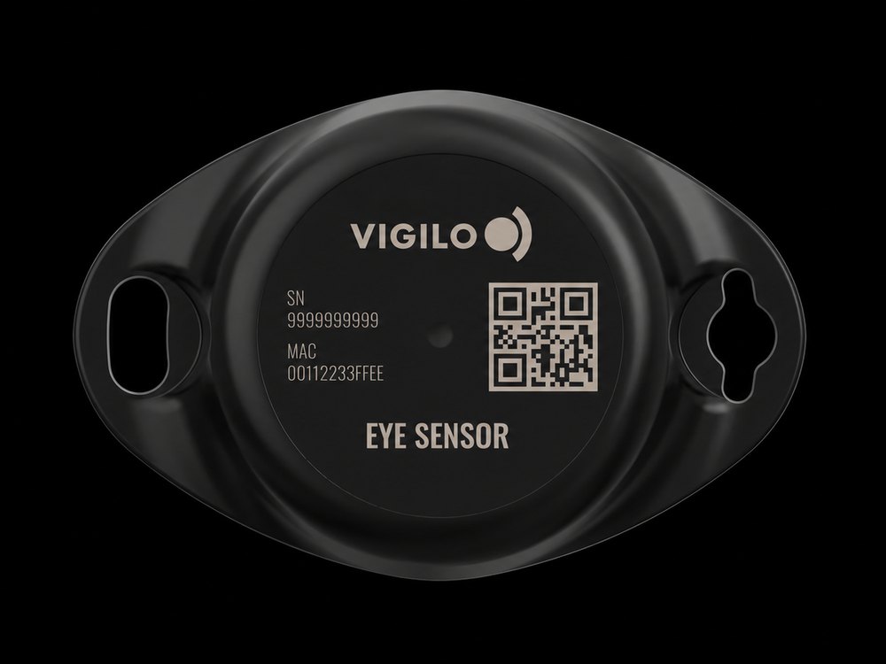 Sensor Estándar